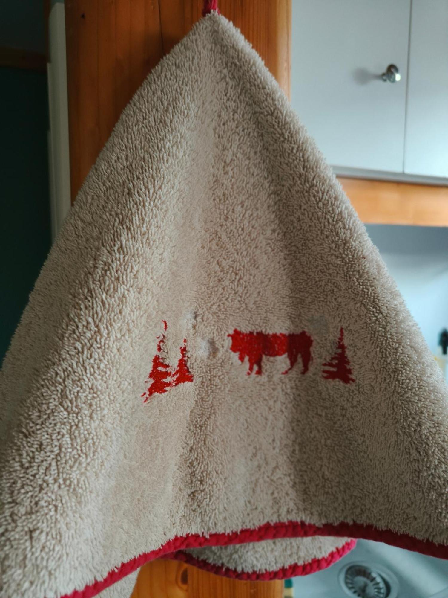 Chalets De La Colagne Bourgs sur Colagne 외부 사진